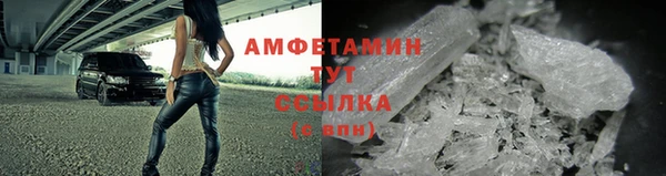 гашик Горняк