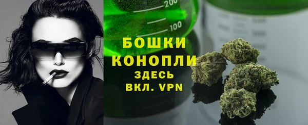 прущая мука Гусев