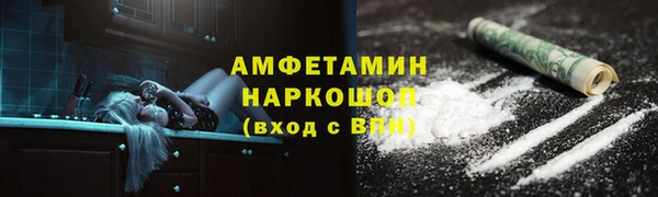 гашик Горняк