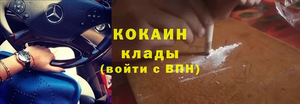 гашик Горняк