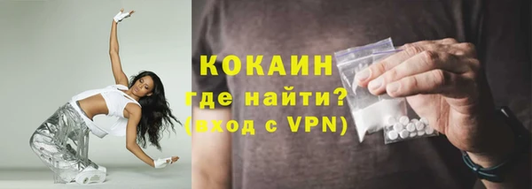 гашик Горняк