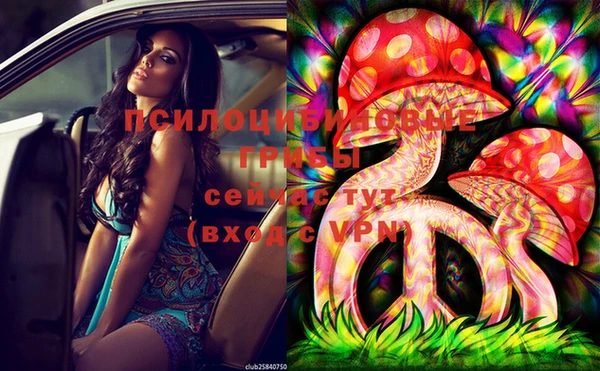 PSILOCYBIN Сясьстрой