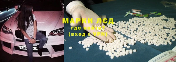 гашик Горняк