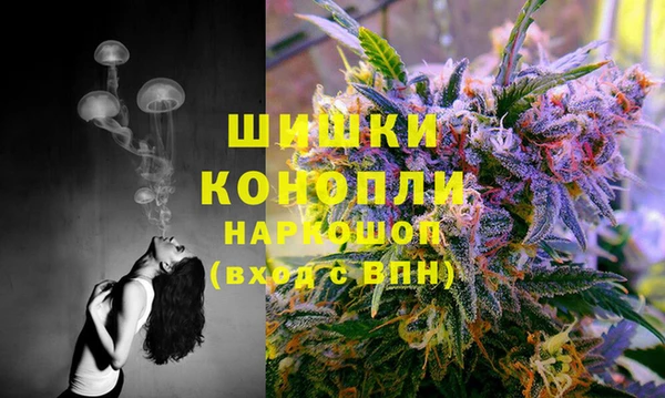 MDMA Гусиноозёрск