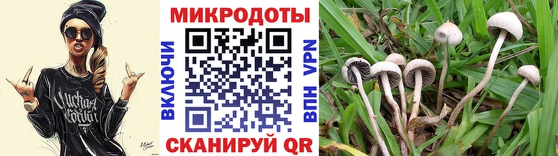 ОМГ ОМГ онион  Черногорск  Псилоцибиновые грибы ЛСД 
