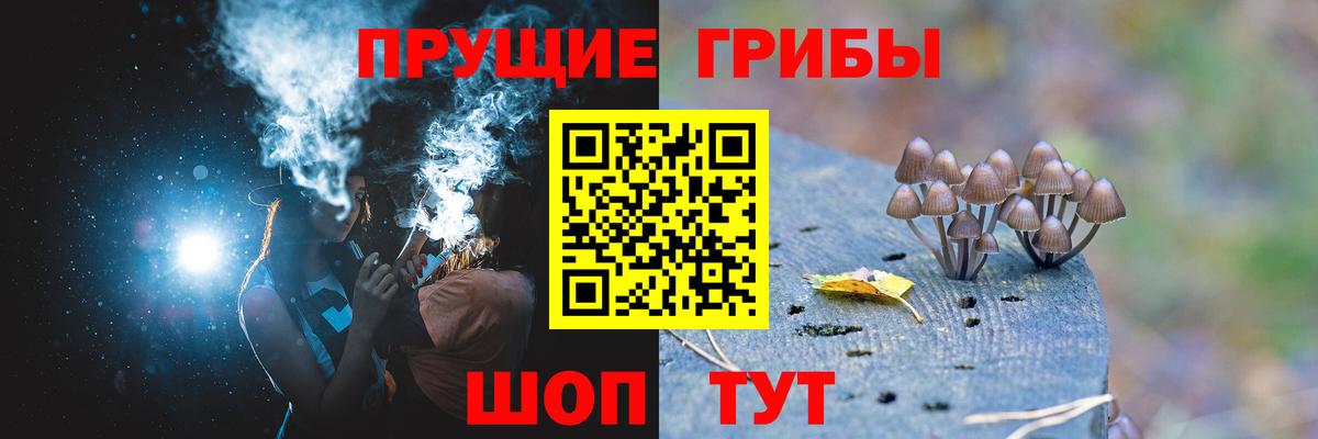 Псилоцибиновые грибы мицелий  Галлюциногенные грибы Cubensis  Вход с VPN  Черногорск 
